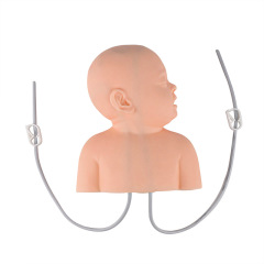 Infant Scalp Intravenous(IV) Injection Practice Model