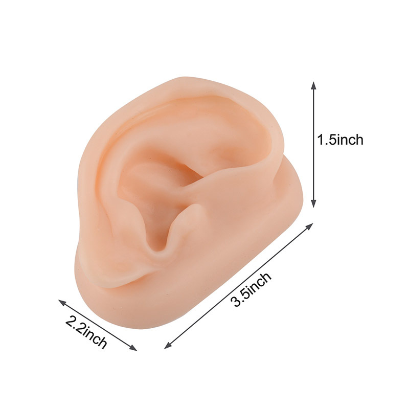 Silicone Acupuncture Ear Model for Teaching & Training