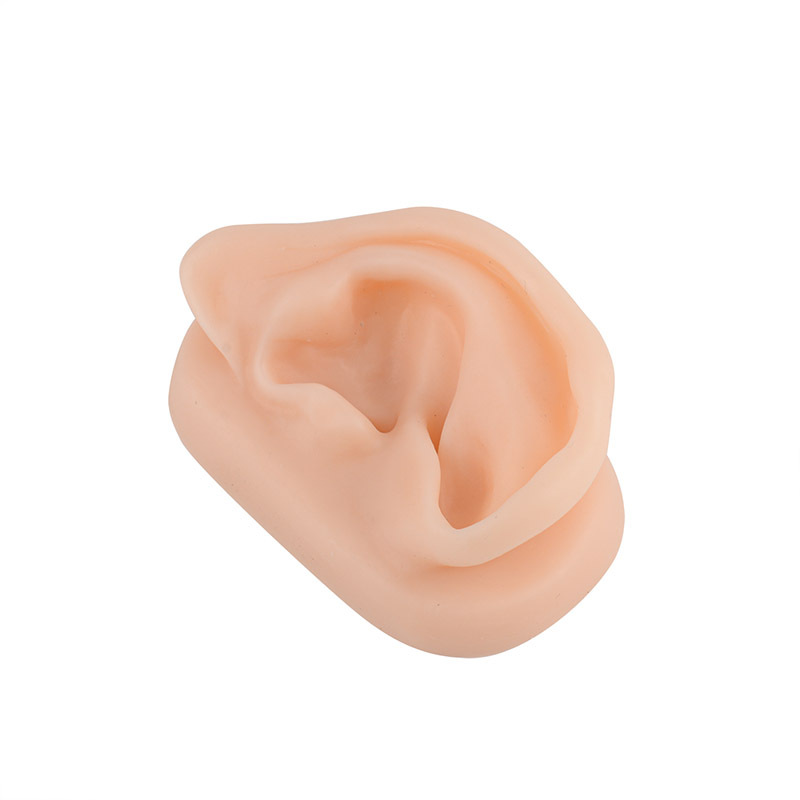 Silicone Acupuncture Ear Model for Teaching & Training