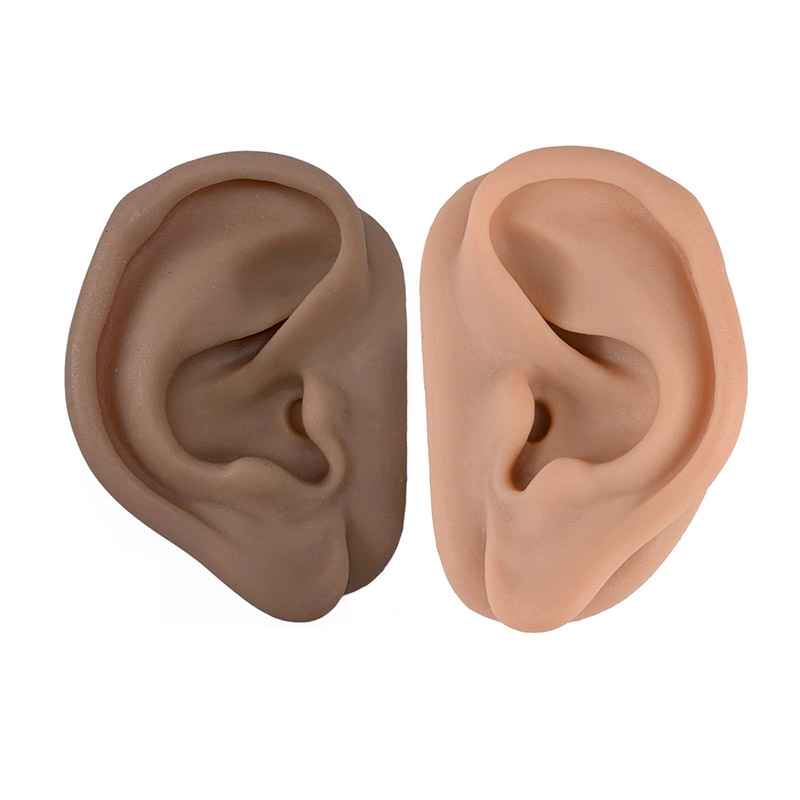 Silicone Acupuncture Ear Model for Teaching & Training