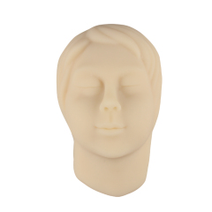 Microblading Practice Mannequin Head with Simulated Skull Inside