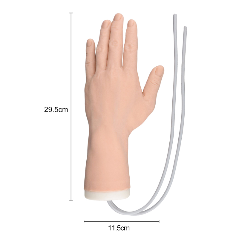 Professional IV Hand Practice Kit for Clinical Nursing Courses