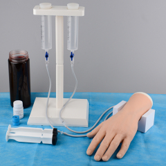 Professional IV Hand Practice Kit for Clinical Nursing Courses