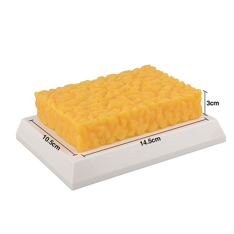 1lb fat brick replica