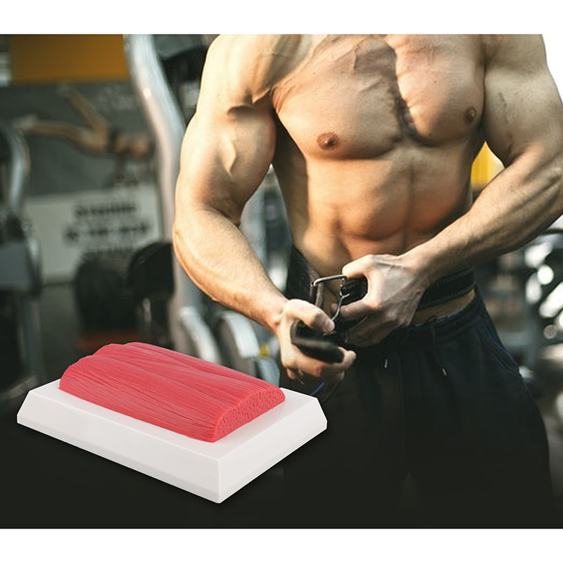 Brick Muscle and Fat Replicas, 1lb, 5lb for Education