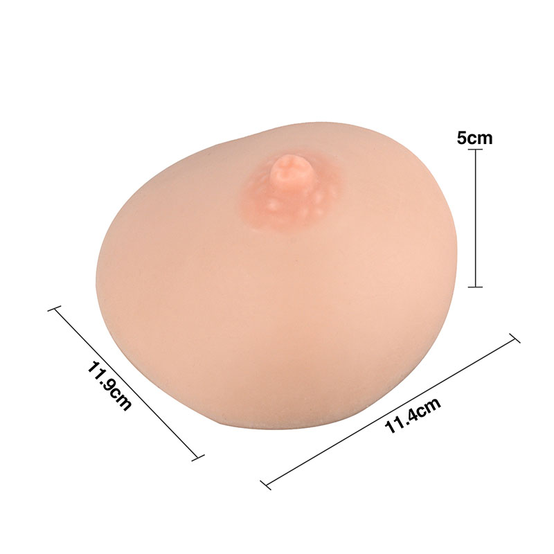 Lactation & Breastfeeding Education Model, Hemisphere, Small/Medium Size