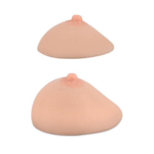 Lactation &amp; Breastfeeding Education Model, Hemisphere, Small/Medium Size