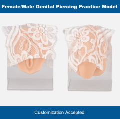 Genital Piercing Practice Model, Male & Female