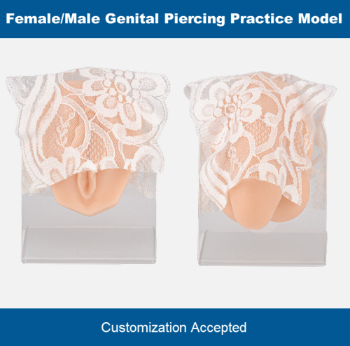 Genital Piercing Practice Model, Male &amp; Female