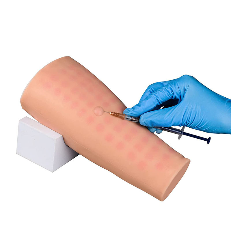 Intradermal Injection Practice Arm Simulator, 58 ID Spots