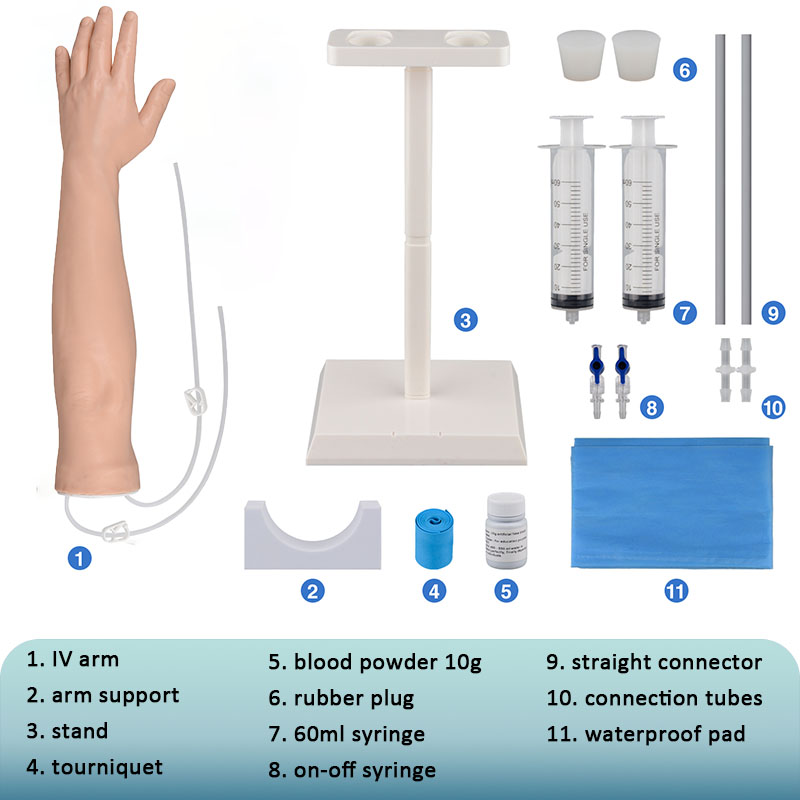 Advanced IV Injection Arm Trainer for Nursing Schools