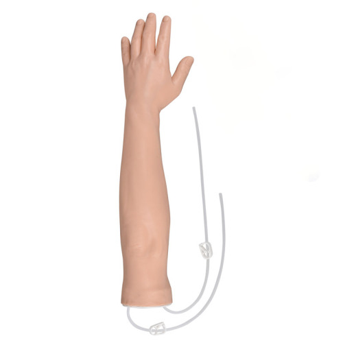 Advanced IV Injection Arm Trainer for Nursing Schools