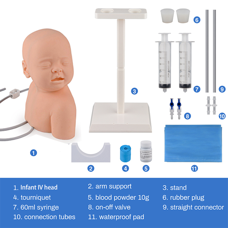 Infant Scalp Intravenous(IV) Injection Practice Model