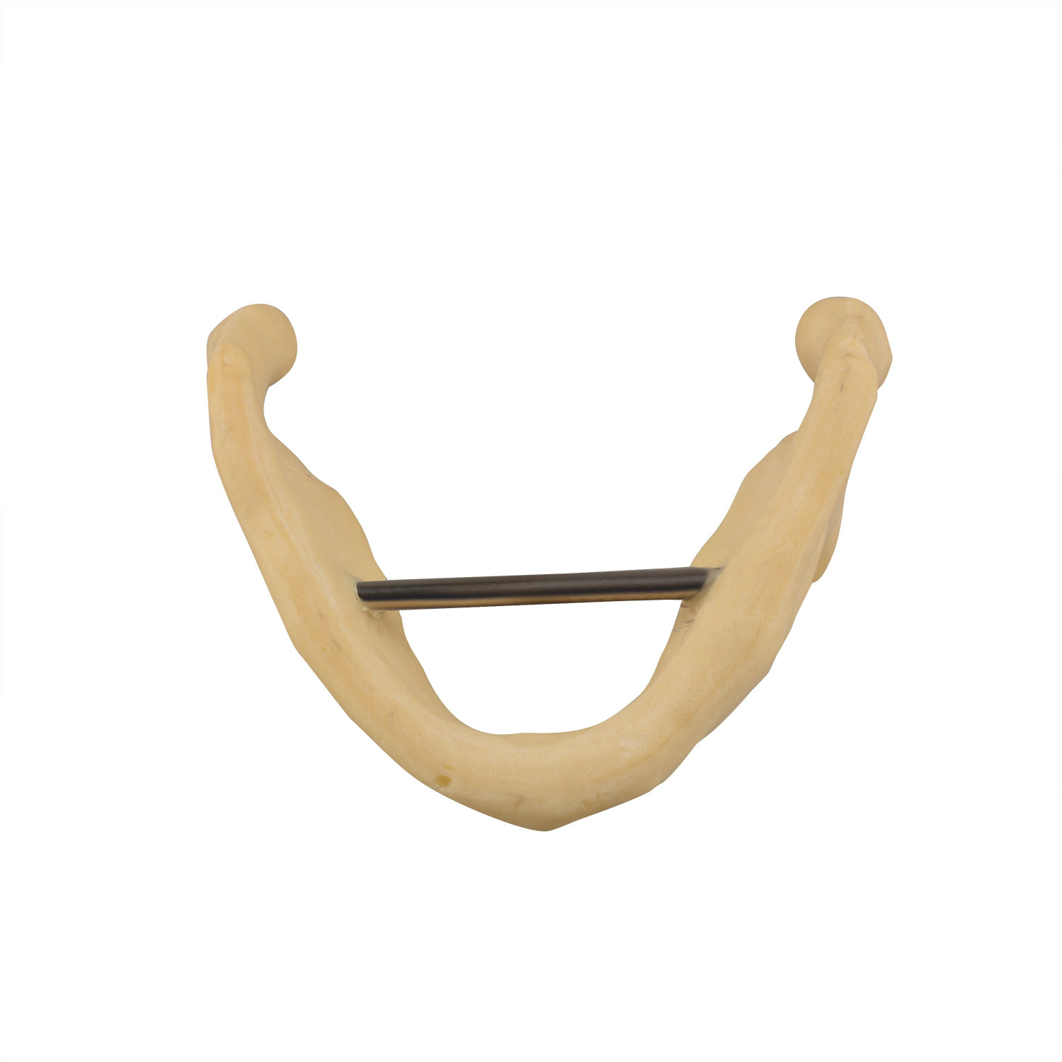 Drilling Practice Plain Mandible Implant Training Model