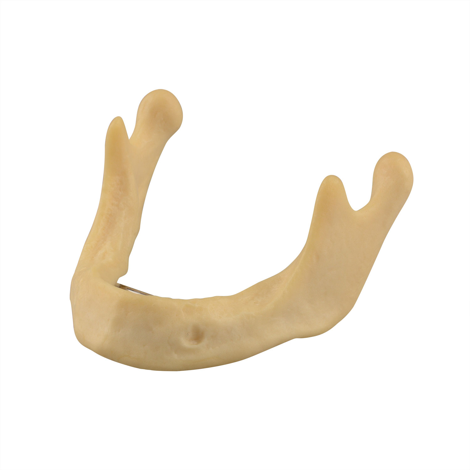 Drilling Practice Plain Mandible Implant Training Model