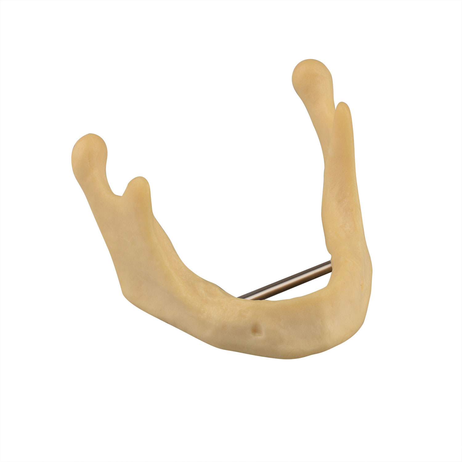 Drilling Practice Plain Mandible Implant Training Model