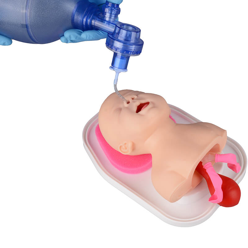 Advanced Infant Endotracheal Intubation Training Manikin for Airway Management