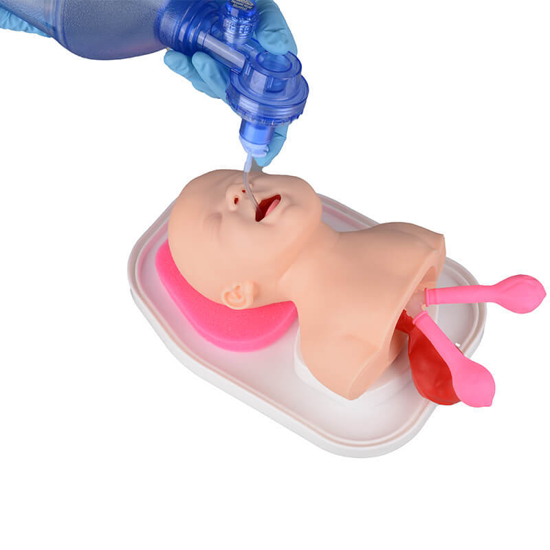 Advanced Infant Endotracheal Intubation Training Manikin for Airway Management
