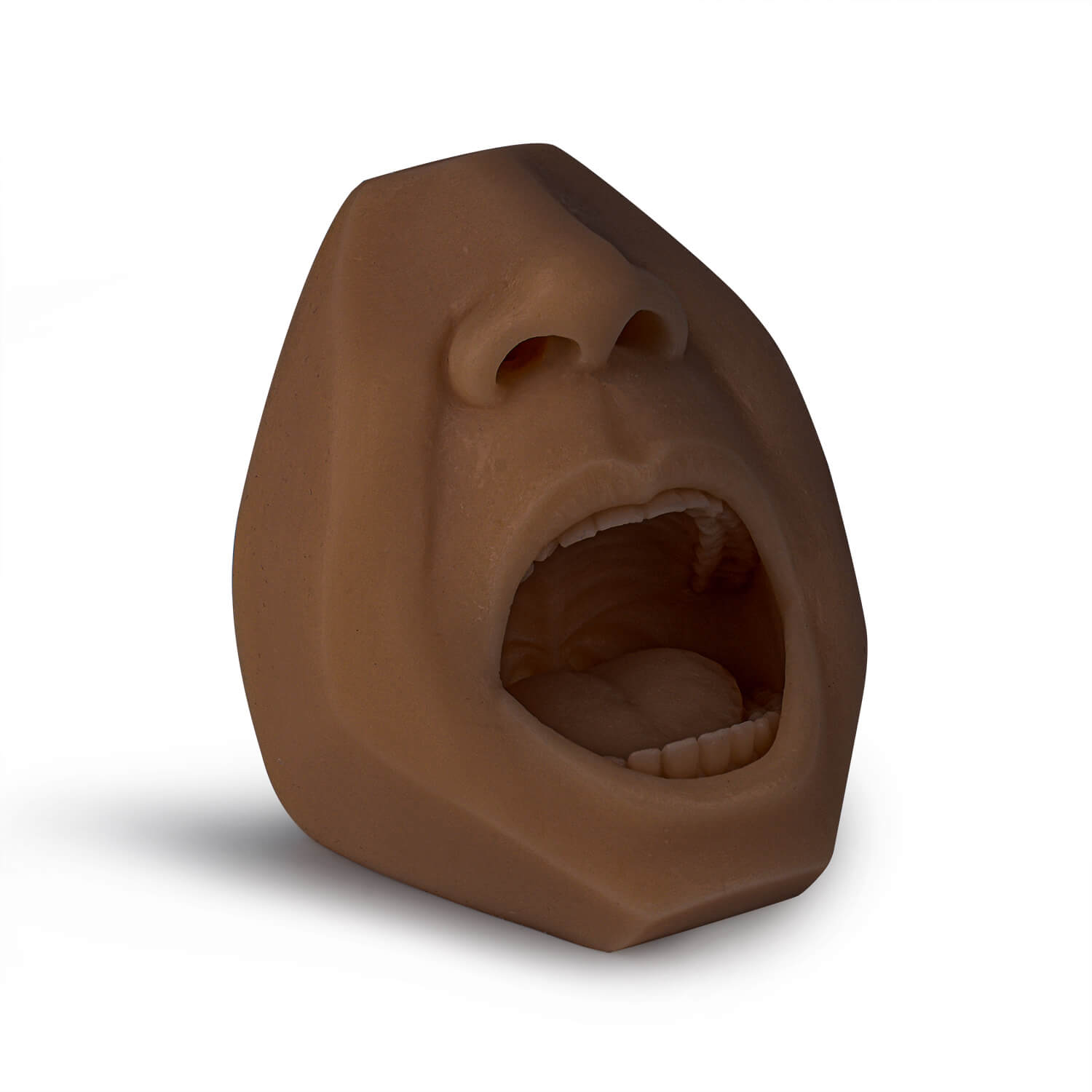 Mouth & Salivaoral Fluid Drug Testing Training Model