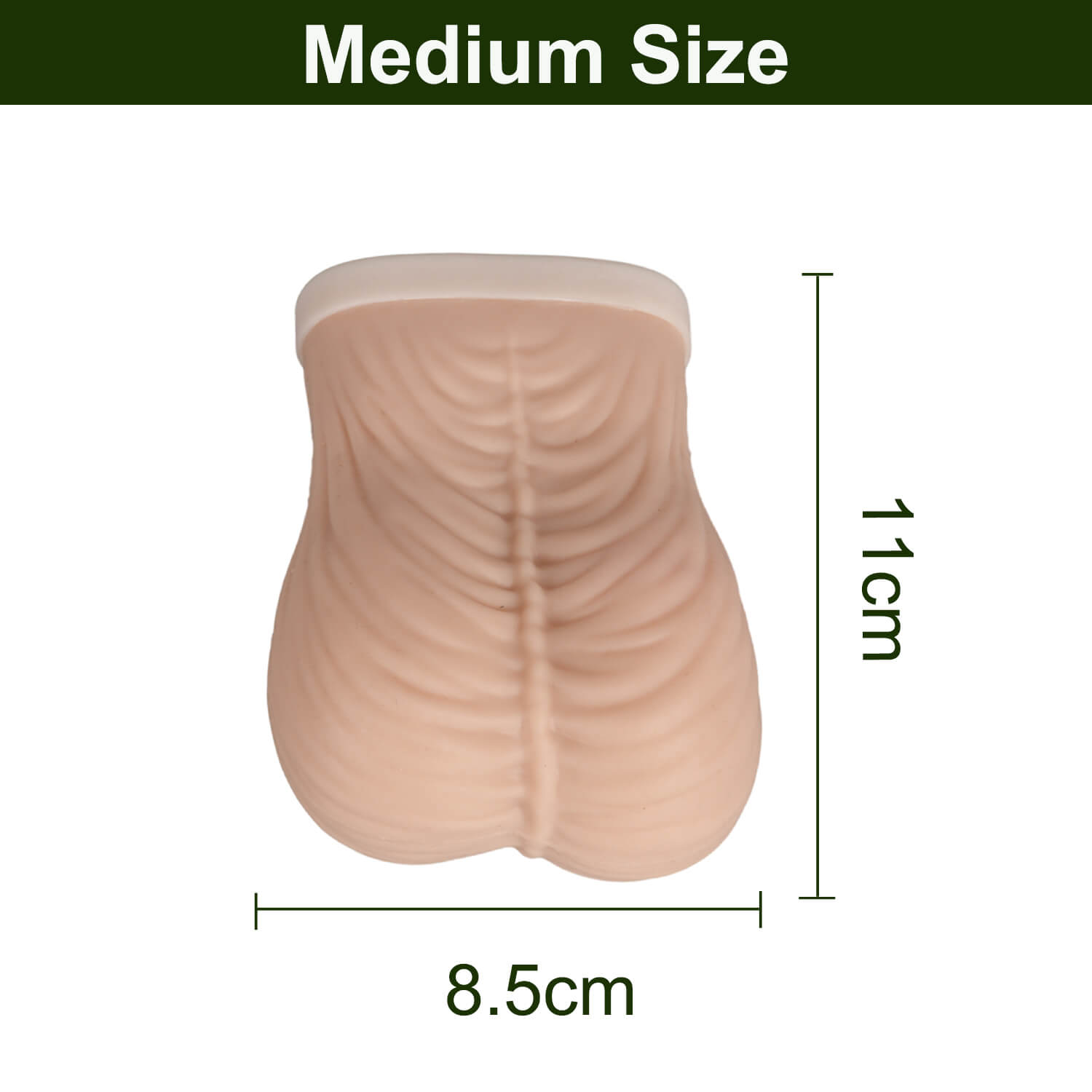 TSE Model for Testicular Self-Examination