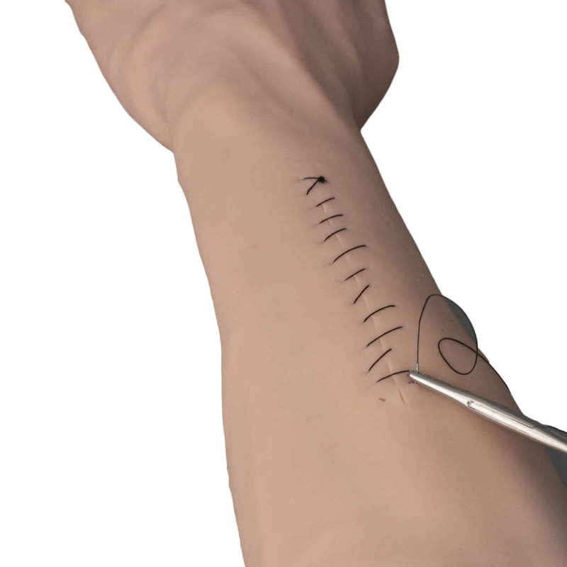Suture and Stapling Practice Arm, Light and Dark Skin