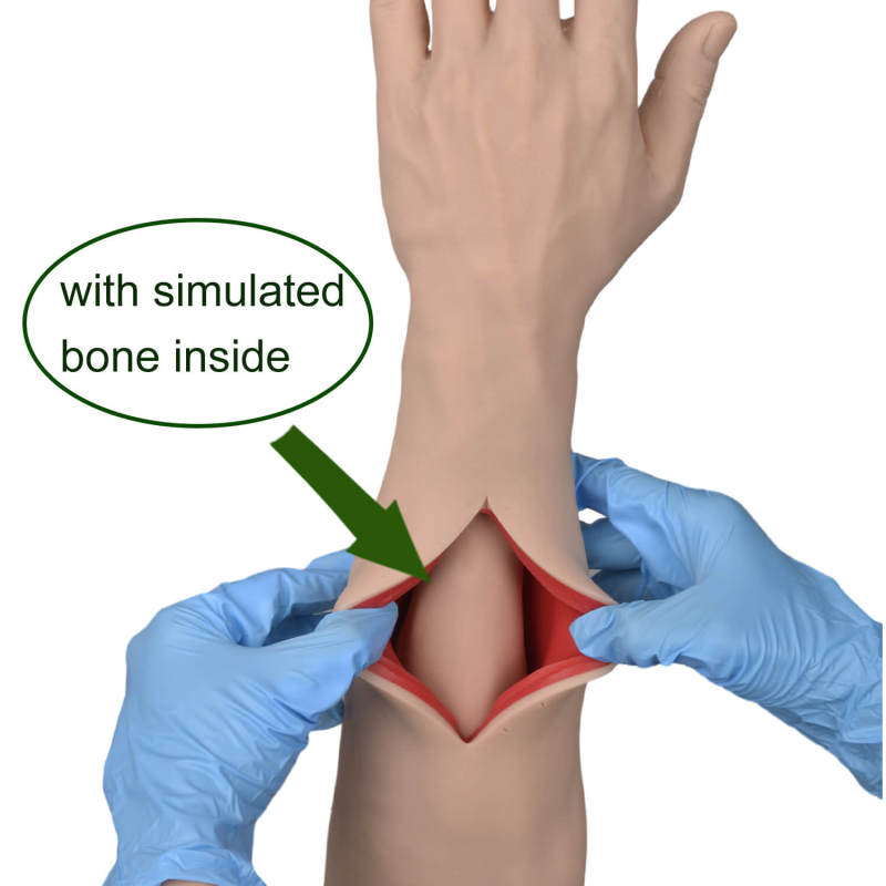 Suture and Stapling Practice Arm, Light and Dark Skin