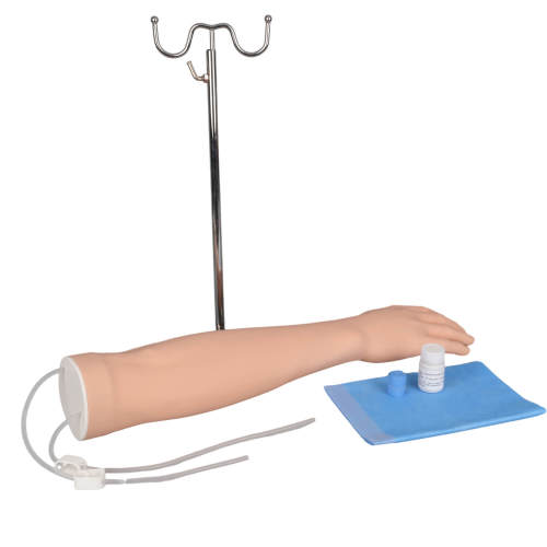 Budget IV Injection Training Arm Kit