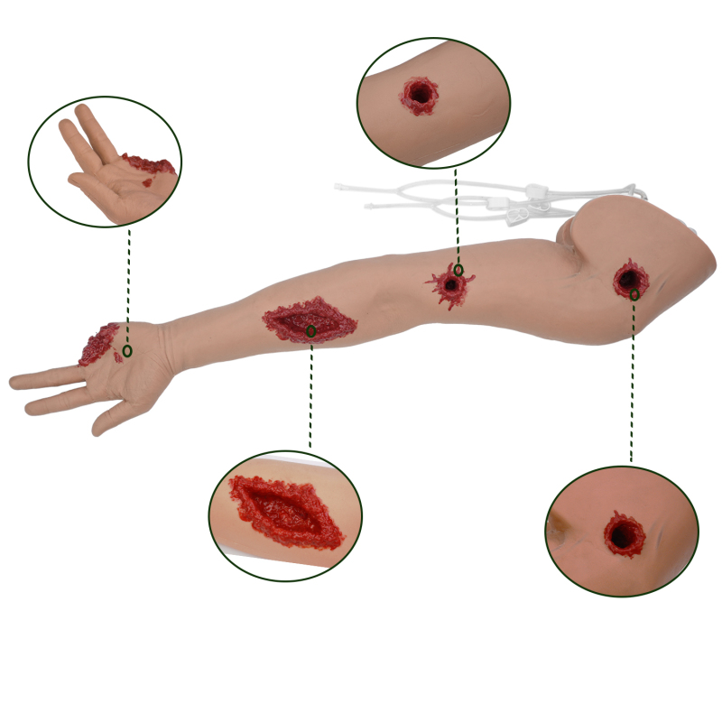 Tourniquet and Multiple Wound Packing Arm Trainer