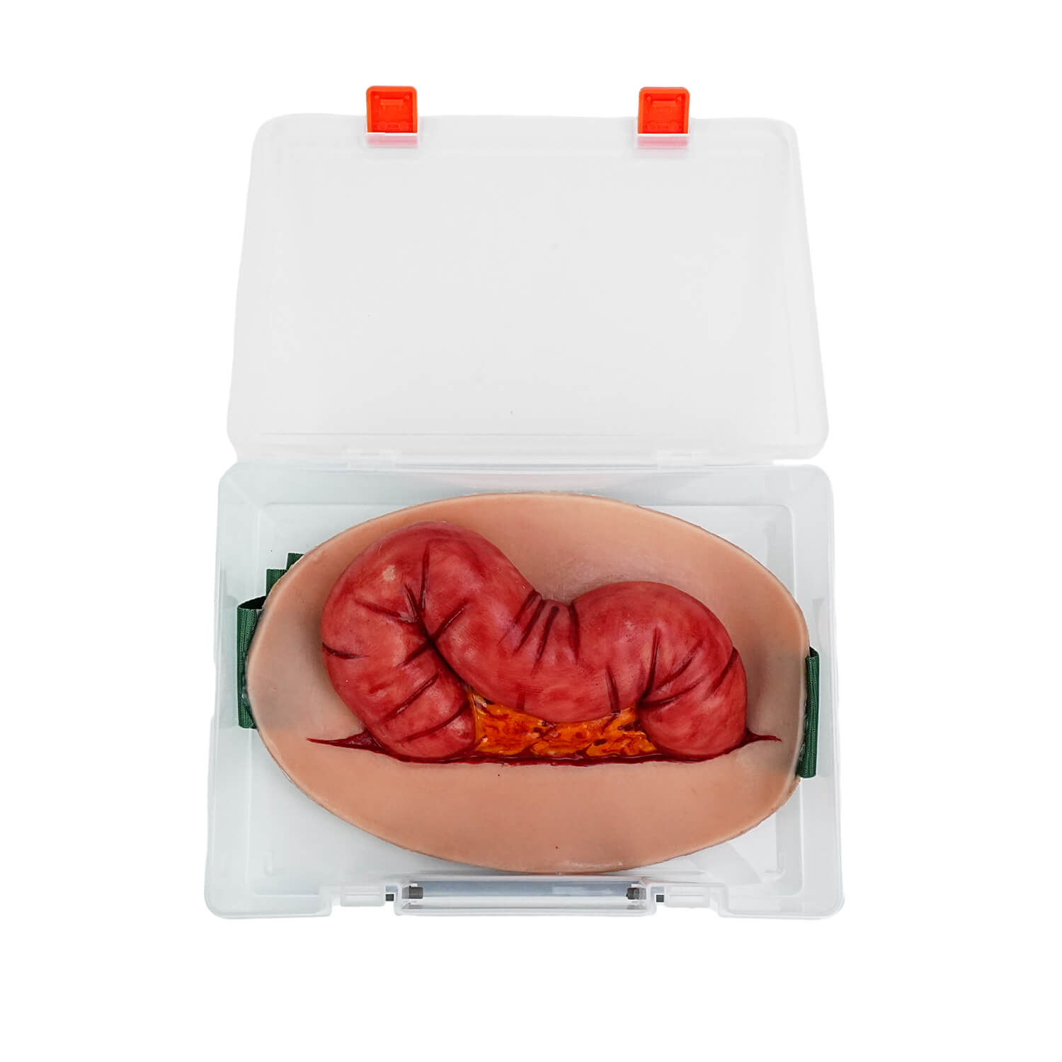 Wearable Abdominal Eviscerated Colon Wound Simulator Kit