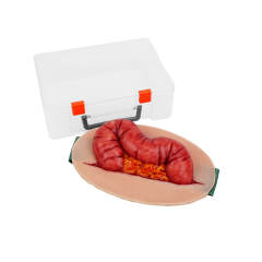 Wearable Abdominal Eviscerated Colon Wound Simulator Kit