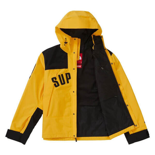 シュプリーム/ザ ノース フェイススーパーコピー アーク ロゴ マウンテン パーカ The North Face X SUPREME Arc Logo Mountain Parka SS19 WEEK 5