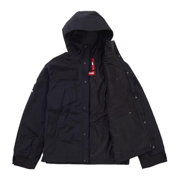 シュプリーム/ザ ノース フェイススーパーコピー アーク ロゴ マウンテン パーカ The North Face X SUPREME Arc Logo Mountain Parka SS19 WEEK 5