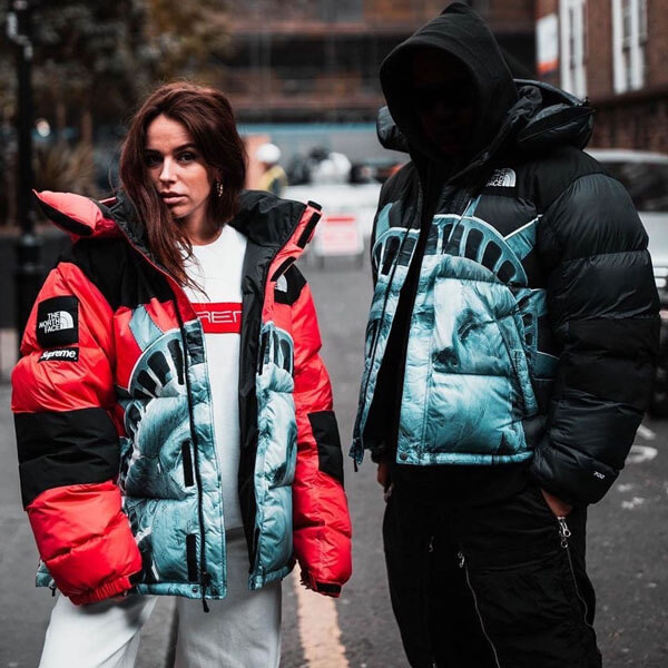 SUPREME/The North Faceコピー Statue Of Liberty Mountain JacketND955