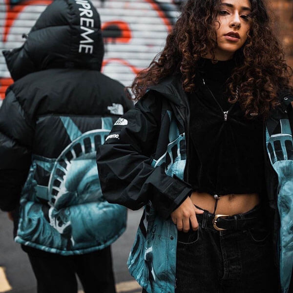 SUPREME/The North Faceコピー Statue Of Liberty Mountain JacketND955