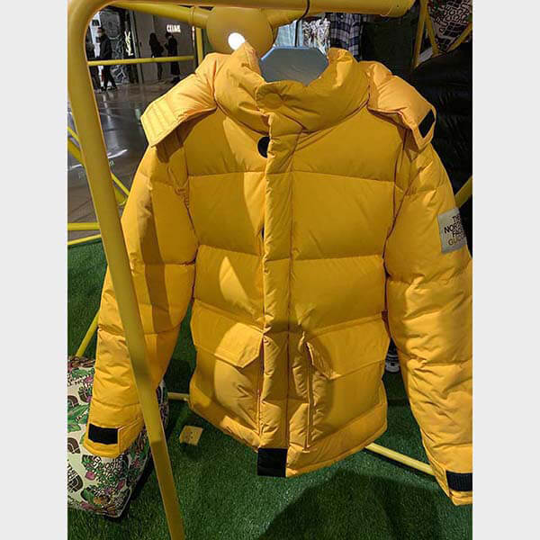 THE NORTH FACE × GUCCI DOWN JACKET ダウンコート2色