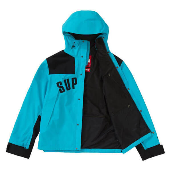 シュプリーム/ザ ノース フェイススーパーコピー アーク ロゴ マウンテン パーカ The North Face X SUPREME Arc Logo Mountain Parka SS19 WEEK 5