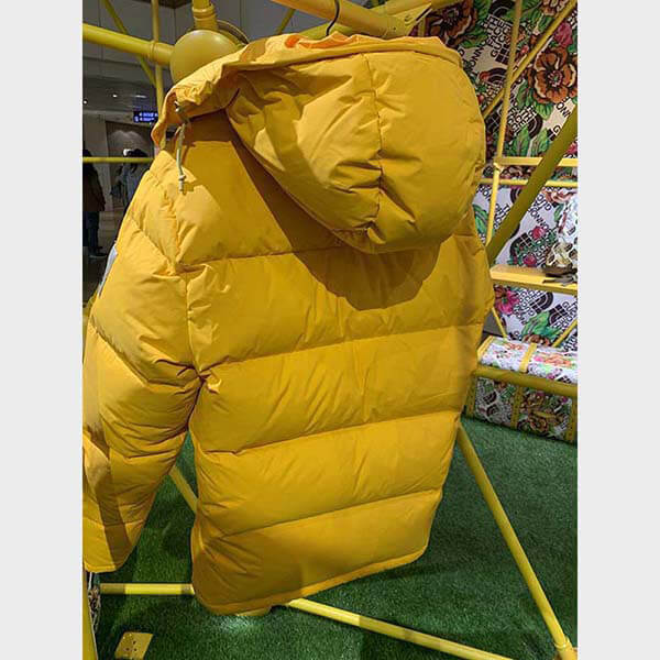 THE NORTH FACE × GUCCI DOWN JACKET ダウンコート2色