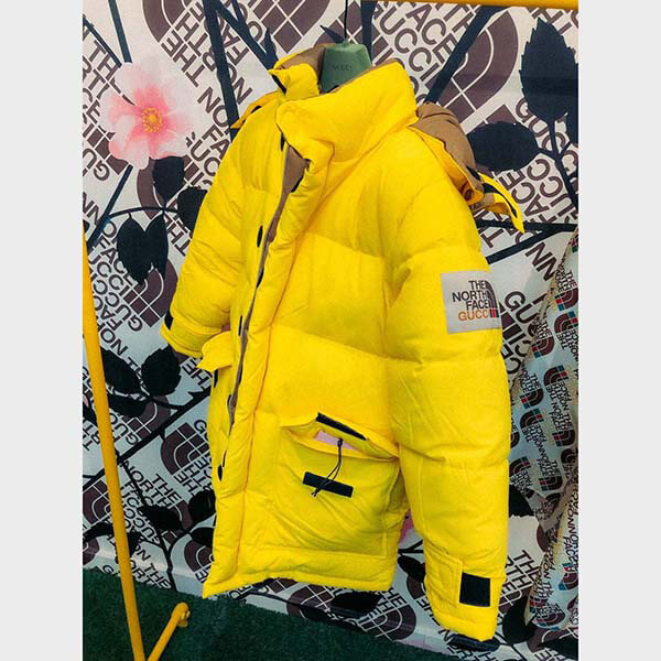 THE NORTH FACE × GUCCI DOWN JACKET ダウンコート2色