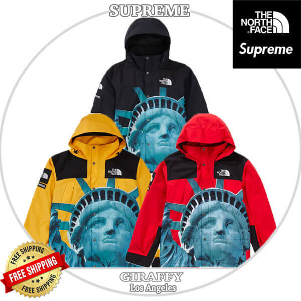 SUPREME/The North Faceコピー Statue Of Liberty Mountain JacketND955