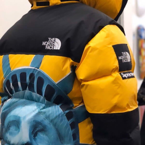 SUPREME/The North Faceコピー Statue Of Liberty Mountain JacketND955