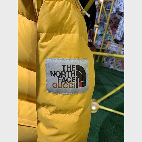 THE NORTH FACE × GUCCI DOWN JACKET ダウンコート2色