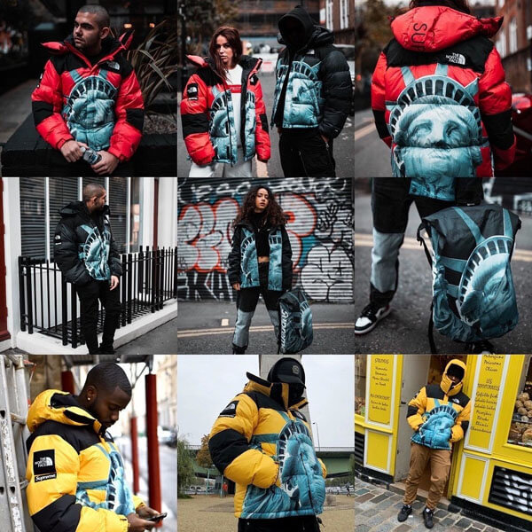 SUPREME/The North Faceコピー Statue Of Liberty Mountain JacketND955