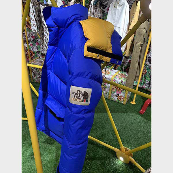 THE NORTH FACE × GUCCI DOWN JACKET ダウンコート2色