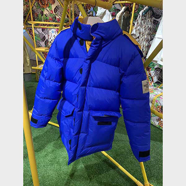 THE NORTH FACE × GUCCI DOWN JACKET ダウンコート2色