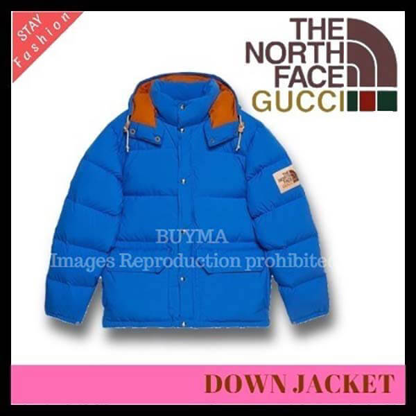 歴史的コラボ入手困難!GUCCI×THE NORTH FACE BLUE DOWN JACKET