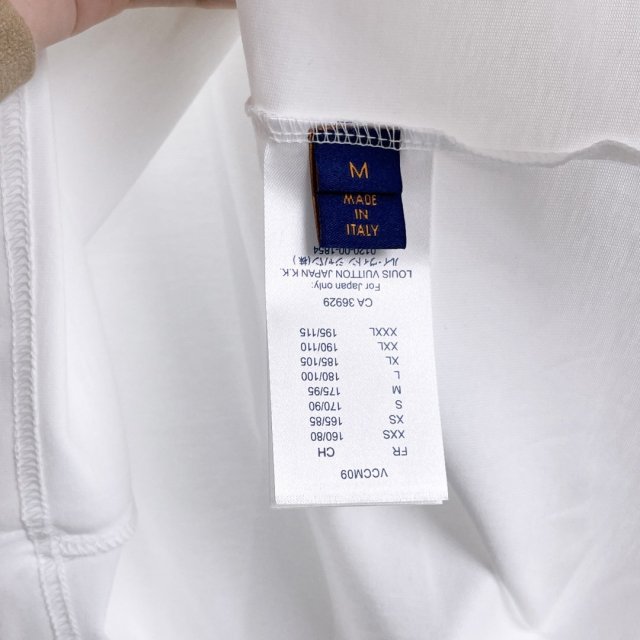 大人気！暖かい★ルイヴィトン服コピー   2色  Tシャツ   Louis Vuitton ルイヴィトン服0229