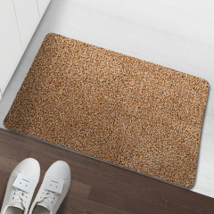 Innyluck Door Mat for Indoor Entrance, Advanced Microfiber Absorb Water Resist Dirt Doormat Non-Slip Backing Entryway Rug, Low Profile Front Door Mats Machine Washable Beige