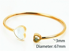 Popular Bangle of Stainless Steel 316L-HY93B0306HNQ