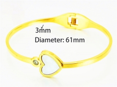 Popular Bangle of Stainless Steel 316L-HY93B0078HLC