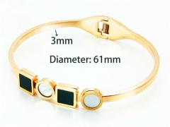 Popular Bangle of Stainless Steel 316L-HY93B0056HOS